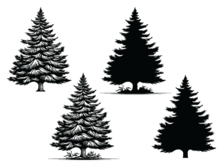 Winter snowy tree svg bundle, spruce tree silhouette - free svg file for members