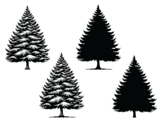 Christmas decor, Winter snowy tree svg bundle, spruce tree silhouette - free svg file for members
