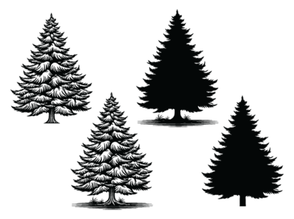 Decorative Winter spruce tree with snow svg bundle, trees silhouette - free svg file for members