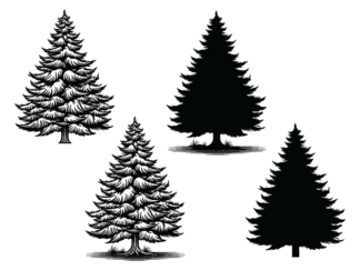Winter snowy tree clipart image, svg bundle, spruce trees silhouette - free svg file for members