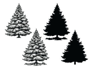 Winter spruce tree with snow, vector image, silhouette svg bundle - free svg file for members