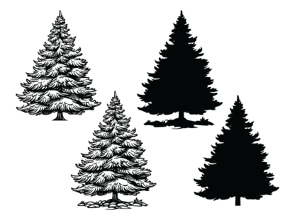 Winter spruce tree with snow, vector image, silhouette svg bundle - free svg file for members