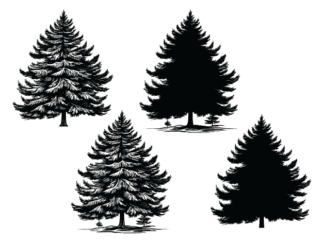 Christmas decor, Winter tree with snow, vector image svg bundle, spruce tree silhouette - free svg file for members