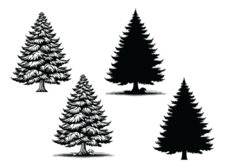 Winter snowy tree svg bundle, Vector design, spruce trees silhouette - free svg file for members