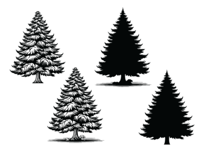 Winter snowy tree svg bundle, Vector design, spruce trees silhouette - free svg file for members