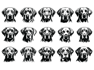 15 Labrador Dogs faces vector image svg bundle, pet lovers - free svg file for members