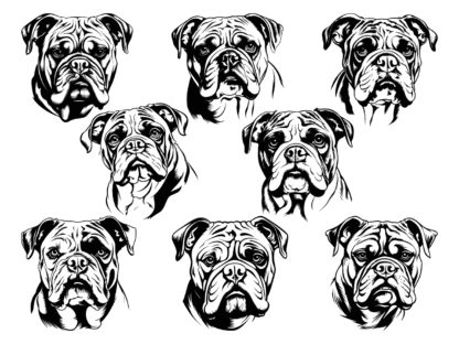 9 Bulldog face svg bundle free svg file for members, vector image for dogs lover