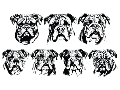 7 Bulldog head svg bundle free svg file for members, decorative vector image