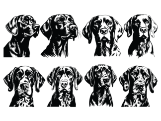 8 German shorthaired pointer faces svg bundle free svg file for members, vector image for dogs lover