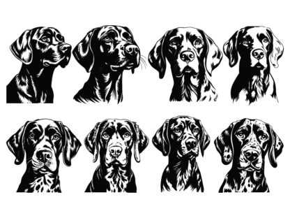 8 German shorthaired pointer faces svg bundle free svg file for members, vector image for dogs lover