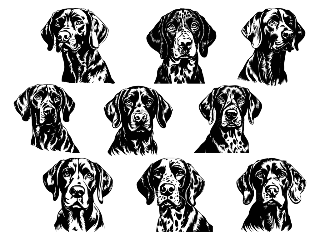 9 German shorthaired pointer heads svg bundle free svg file for members