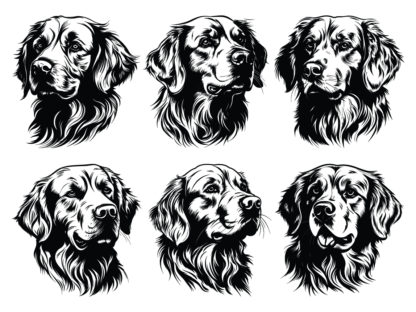 6 Golden retriever faces free svg file for members, vector image for dogs lover svg bundle