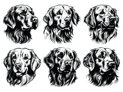 6 Golden retriever heads svg bundle, vector image for dogs lover free svg file for members