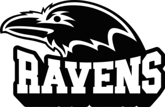 Ravens, raven head free svg file for members, American football Team mascot svg for tshirt