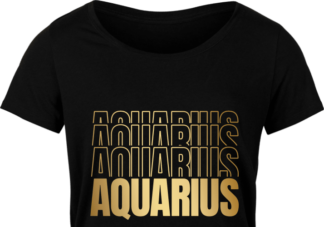 Aquarius, echo stacked text free svg file for members, golden png for sublimation, birthday tshirt design