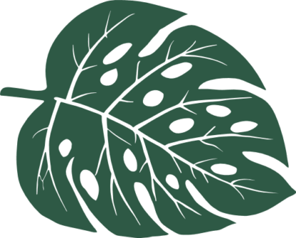 Monstera leaf free svg file for members, vector image