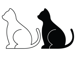 Cat clipart image, vinyl decal free svg file for members, pet lover, decor, sticker
