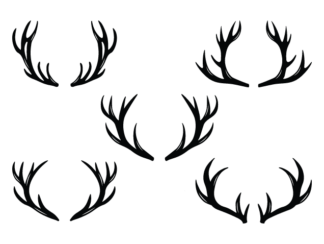Deer antlers free svg file for members, hunting svg bundle, decorative element