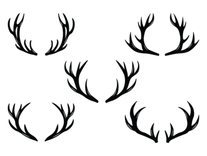 Deer antlers free svg file for members, hunting svg bundle, decorative element