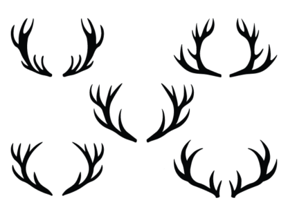Deer antlers, svg bundle free svg file for members, hunting trophy, decorative element