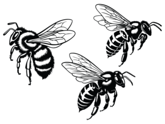 Buzzing Honey Bee free svg file for members, Flying Bees clipart image, sticker