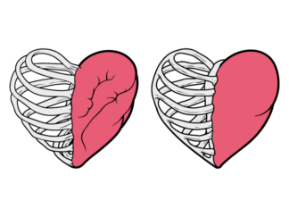 Rib Bones heart Free SVG File for Members - Valentines Skeleton Heart clipart
