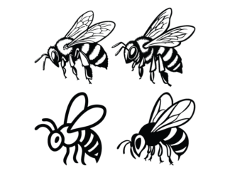 Detailed Bee Free SVG File Bundle – Cute Honeybee Clipart image