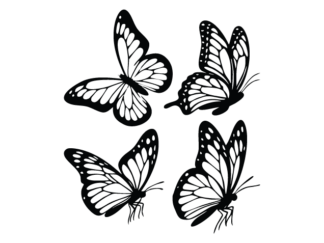 Elegant Butterflies Free SVG File Bundle for Members – Butterfly clipart