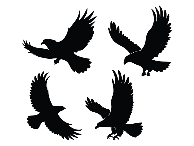 Flying Eagle silhouette Free SVG File Bundle for Members – Bird Clipart image