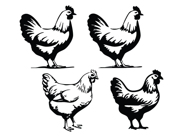 Rustic hen Free SVG File bundle for Members – Farm Animal Chicken clipart