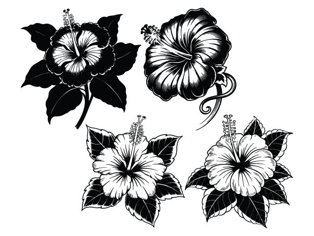 Hibiscus Flower Free SVG File Bundle for Members – Floral Clipart image