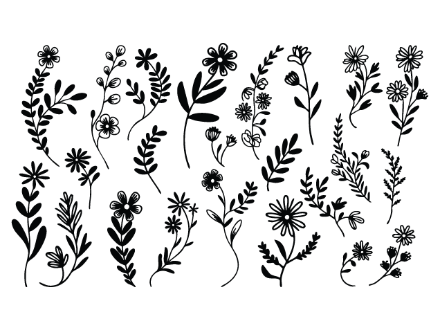 Wild Flowers and Leafy Sprigs Free SVG File Bundle for Members – Floral Clipart
