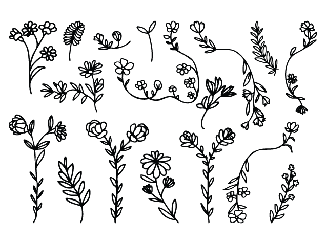 Wild Flowers Free SVG File Bundle for Members – Floral Clipart image