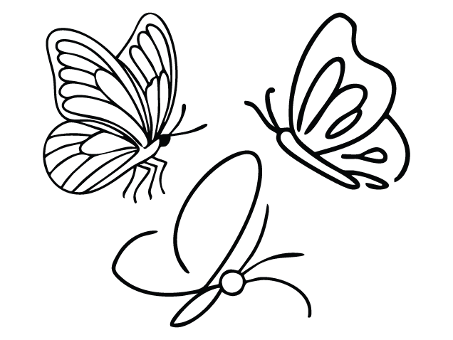 Hand Drawn Butterfly Free SVG File bundle – Butterfly clipart image