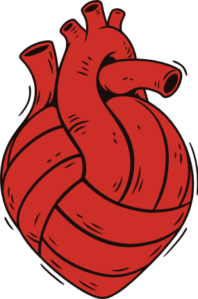 Heart shaped volleyball Free SVG File for Members – Sports clipart image
