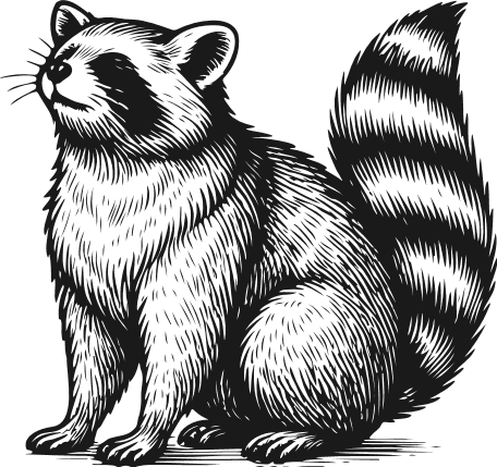Detailed Raccoon Free SVG File for Members – Sitting Raccoon clipart image