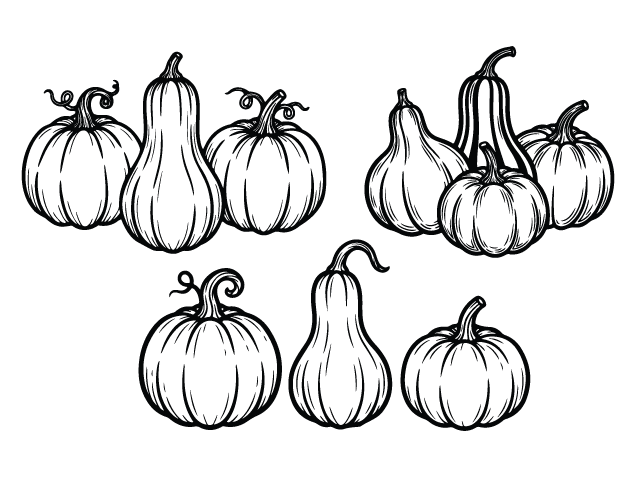 Pumpkins and Gourd Free SVG File Bundle for Members – Fall pumpkin clipart