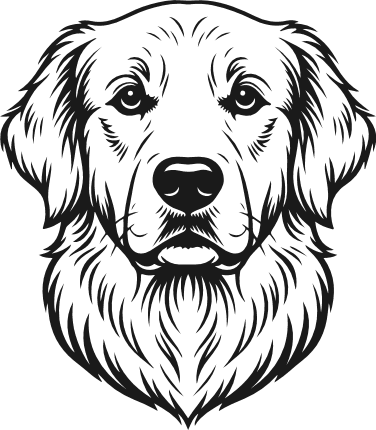 Golden Retriever Free SVG File for Members – Dog head clipart image