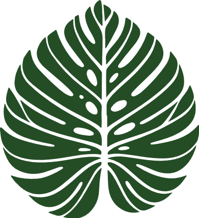 Monstera Leaf Free SVG File – Boho wall art, Tropical Leaf clipart