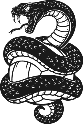 Snake Wrapped Around Volleyball Free SVG File for Members – Snake Volleyball Clipart