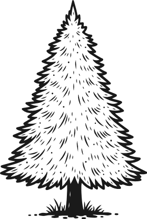 Hand Drawn Spruce Tree Free SVG File – Pine tree clipart image