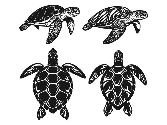 Sea Turtle Silhouette Free SVG File Bundle – Detailed Ocean Turtle clipart image
