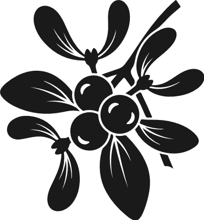 Christmas Mistletoe silhouette Free SVG File – mistletoe leaves and berries clipart
