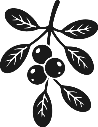 Christmas Mistletoe silhouette Free SVG File – mistletoe leaves and holly berries clipart