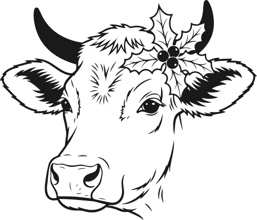 Cow Head With holly berry leaves Free SVG File – Christmas cow clipart image