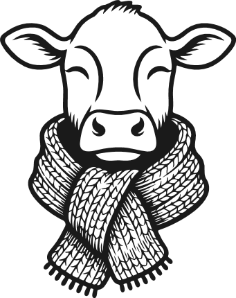 Cow Head With a Scarf Free SVG File – Cozy winter cow clipart image