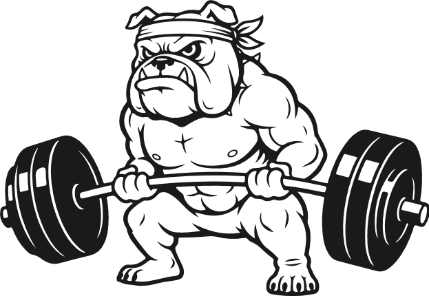 Mascular Bulldog lifting weights Free SVG File for Members – bulldog gym mascot clipart