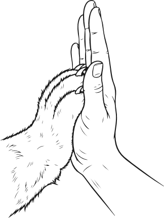 Human Hand and Dog Paw High Five Free SVG File – pet lover clipart