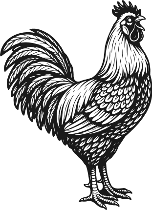 Detailed Rooster Free SVG File – Farm animal chicken clipart