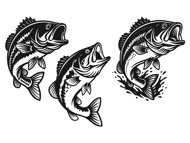 Wide open mouth bass fish Free SVG File bundle for Members – Fish clipart